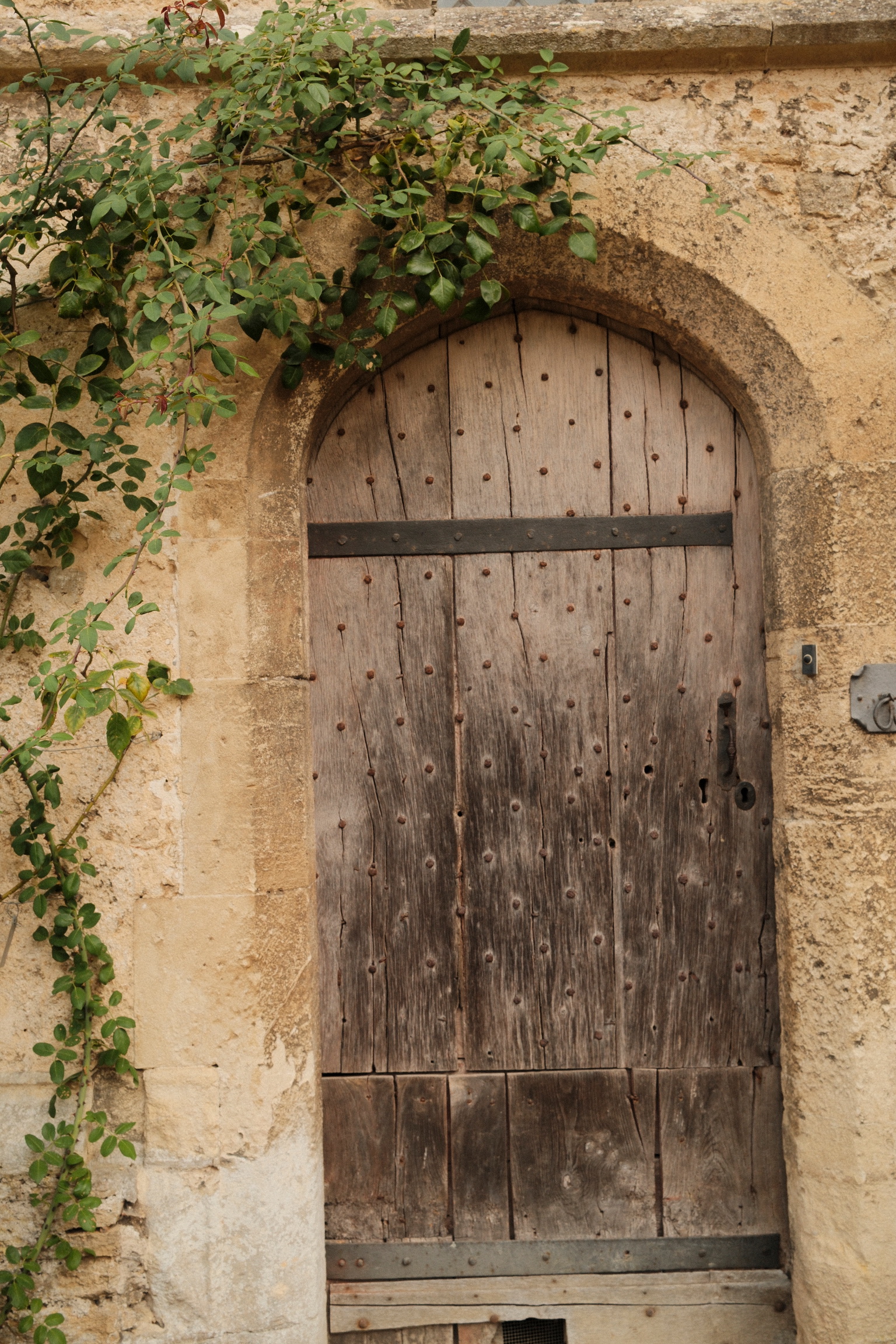 An ivy-framed wooden door set in stone
