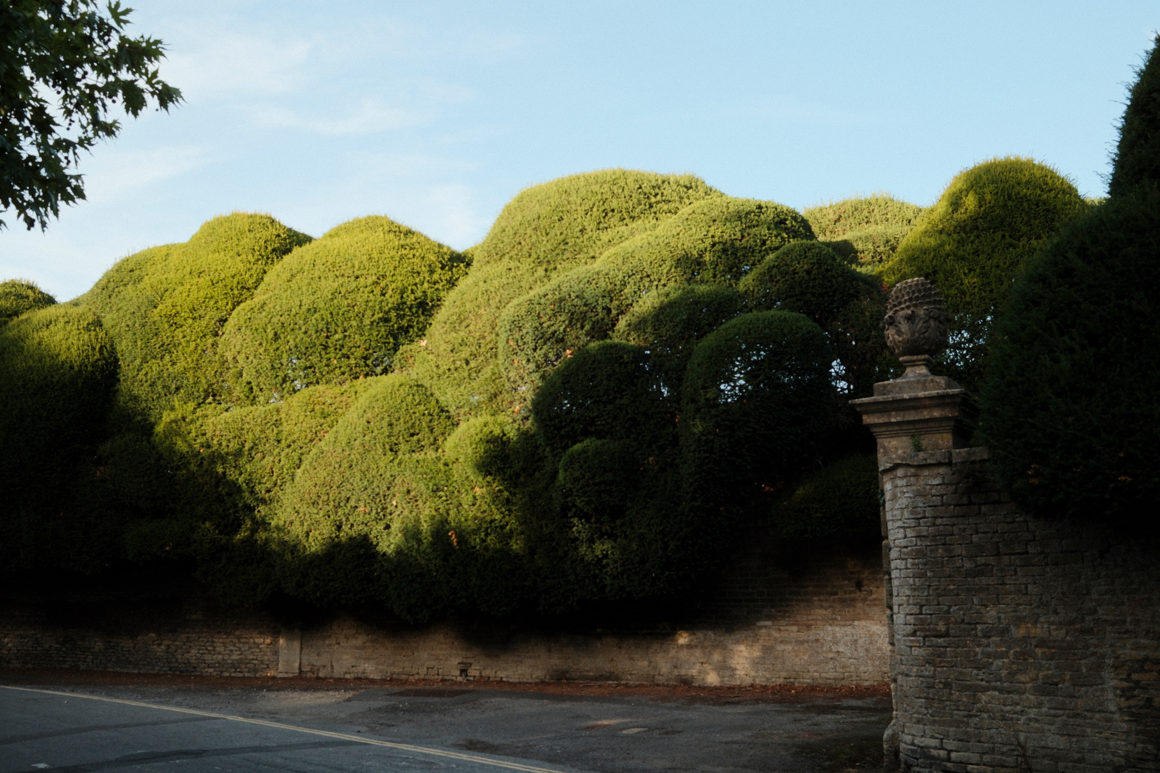 Rounded green topiary rises above a stone garden wall