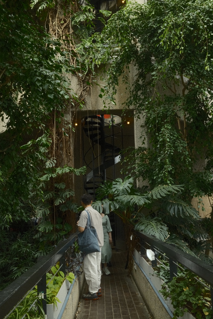A person walks along a narrow walkway surrounded by tropical plants