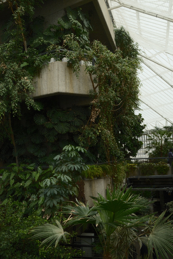 Plants spill from stacked concrete planters beneath a glass roof